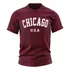 Camiseta Camisa Chicago Illinois U.s.a Algodão Premium