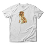 Camiseta Camisa Collie Sheltie Cachorro