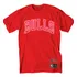 Camiseta Chicago Bulls Nba Reflex Masculina Básica