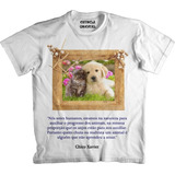 Camiseta Chico Xavier