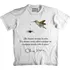 Camiseta Chico Xavier - Não Desanime Em Razão Da Crítica