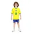 Camiseta E Calção Do Brasil Infantil Para Menino E Menina