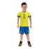 Camiseta E Calção Futebol Infantil Brasil Copa Amarelo