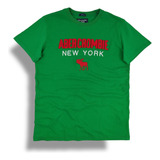 Camiseta Hollister Abercrombie