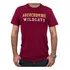 Camiseta Hollister, Abercrombie E Outras Importadas Original