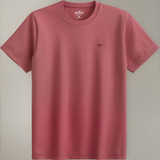 Camiseta Hollister 100