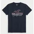 Camiseta Hollister Masculina 100% Original Importada Bermudas Moletom Calças Shorts  Polos Tommy Casacos Abercrombie
