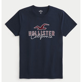 Camiseta Hollister Masculina Bermudas