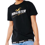 Camiseta Hollister Masculino T