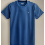 Camiseta Hollister Must Have