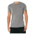 Camiseta Hollister Must Have Collection Logo Bordado