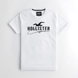 Camiseta Hollister Slim