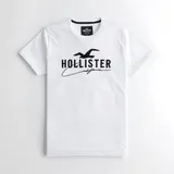 Camiseta Hollister Slim