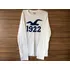 Camiseta Manga Longa Hollister