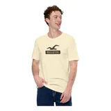 Camiseta Masculina Hollister