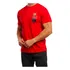 Camiseta Masculina Polo Ralph Lauren Bear Ursinho