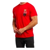 Camiseta Masculina Polo Ralph