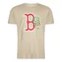 Camiseta Mlb Boston Red Sox Rooted Nature New Era