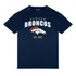 Camiseta Nfl Denver Broncos Team Colors Sport America