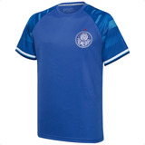 Camiseta Palmeiras Goalkeeper Iii