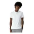Camiseta Polo Masculina Malwee Original Algodão