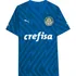 Camiseta Puma Palmeiras Torcedor Gk Home Jersey 24
