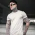 Camiseta Slim Fit Basica Gola O 100% Algodão Fio 30 Promoção