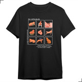 Camiseta T shirt Vira