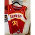 Camiseta Uniforme Nba Hwc Atlanta Hawks Wilkins M