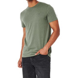 Camiseta Verde Mesclado Hollister