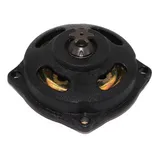 Campana E Pinhao Para