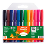Canetinha Caneta Hidrocor Big