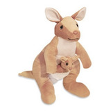 Canguru Com Filhote De