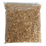 Canutilho Dourado Espelhado 150gr
