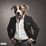 Cao Feroz explicit