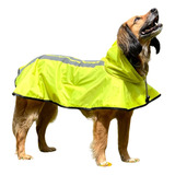 Capa De Chuva Pet