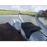 Capa Para Pedalinho Cisne