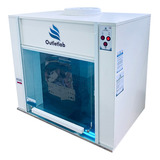 Capela P Microbiologia 60
