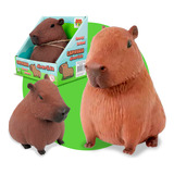 Capivara Filo Estica Divertida
