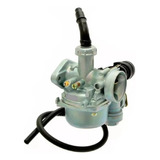 Carburador Completo Web 100