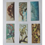 Cards Avulsos