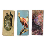 Cards Surpresa Avulsos