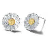 Carleen 14k Banhado A