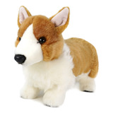 Carlotta The Corgi