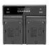 Carregador Duplo Para F970/f570/f550 Top