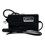 Carregador Para Bike Elétrica 36v 15a Bivolt 110 220