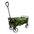 Carrinho Dobrável Roller Camping Suporta 80kg Guepardo Cor Verde