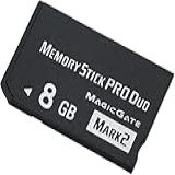 Cartao De Memoria Ms