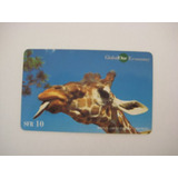 Cartao Telefonico Estrangeiro Fauna