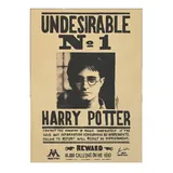 Cartaz Poster Harry Potter